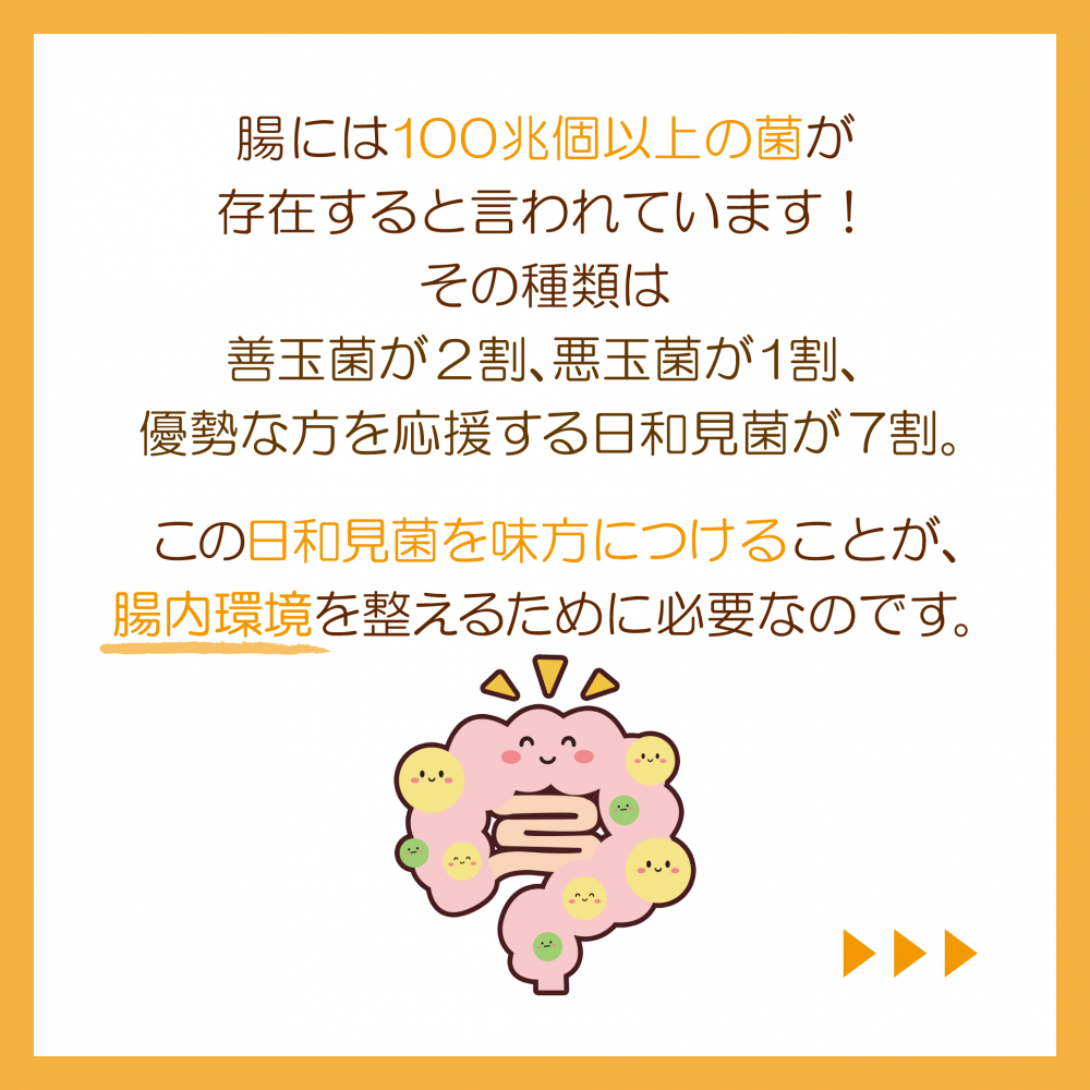 発酵食品と食物繊維