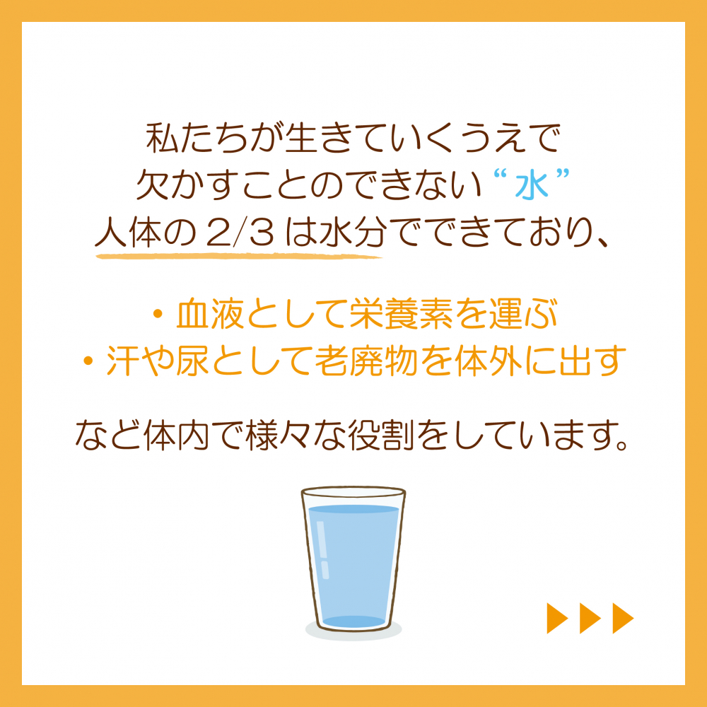 体内での水分の働き